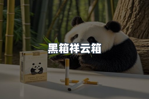 黑箱祥云箱